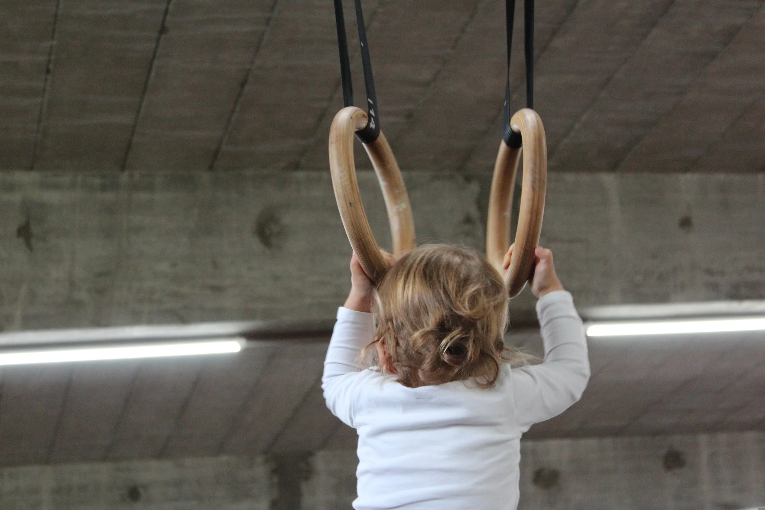 peggy_marco-small-child-1634775.jpg