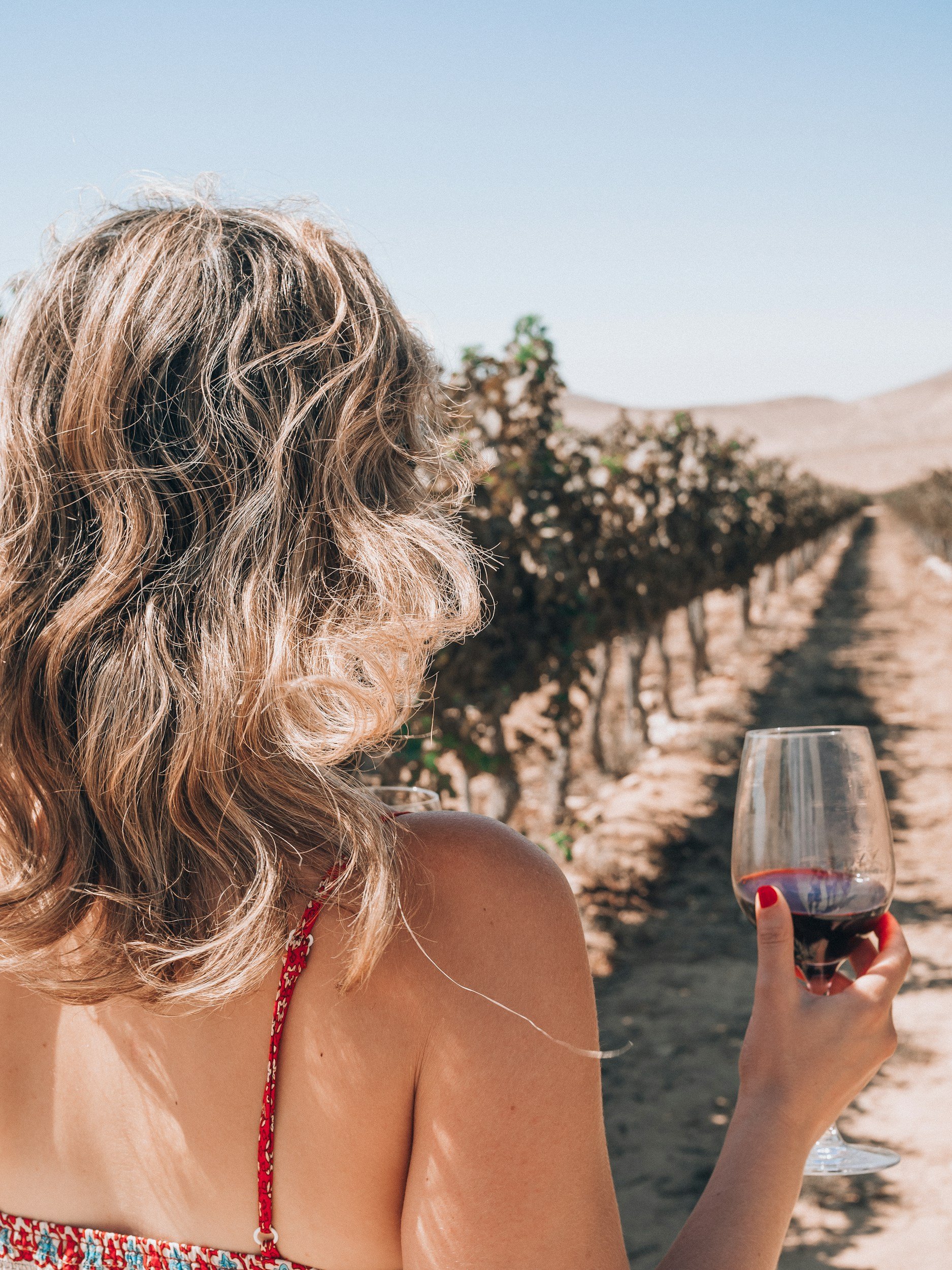 A woman with curly blonde hair, wearing a red and white patterned strap top, holding a glass of red wine, sitting outdoors on a sunny day near a vineyard, with a blurred landscape in the background.