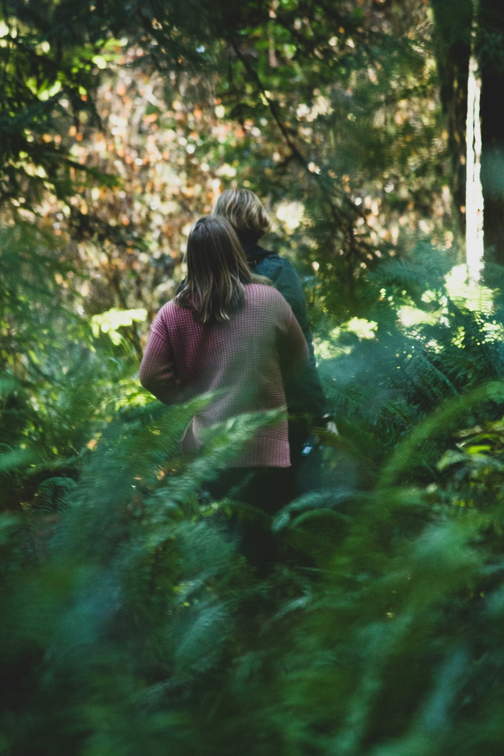 Two people with their backs facing the camera walking through a lush, green forest with dense foliage and a waterfall in the background.