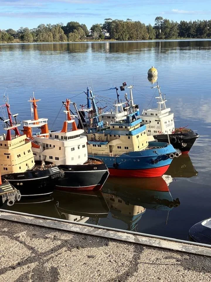 Model boats docked in calm water near a shoreline with trees visible in the background.
