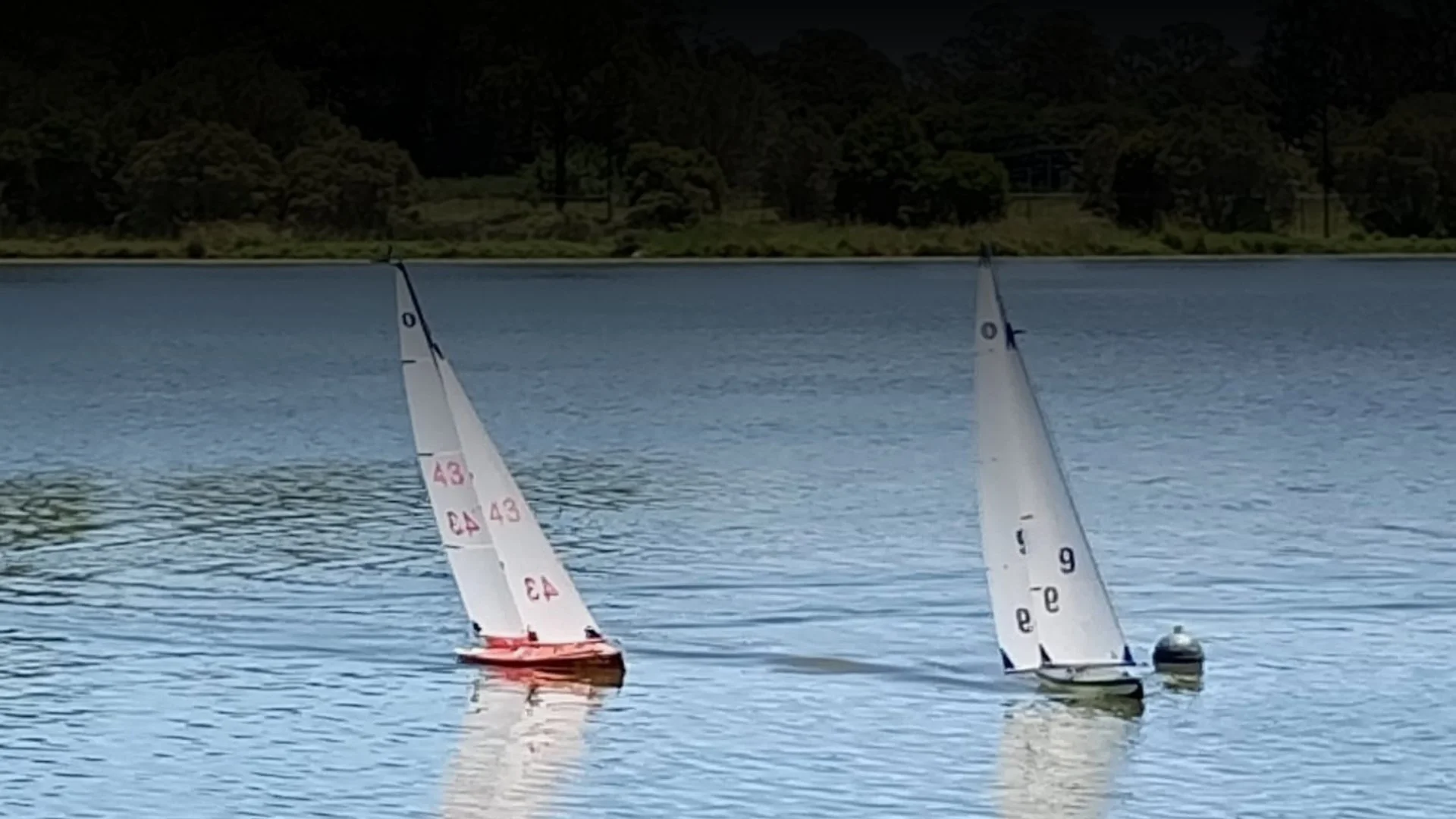 Two remote-controlled sailboats on a lake, with a tree-lined shoreline in the background.