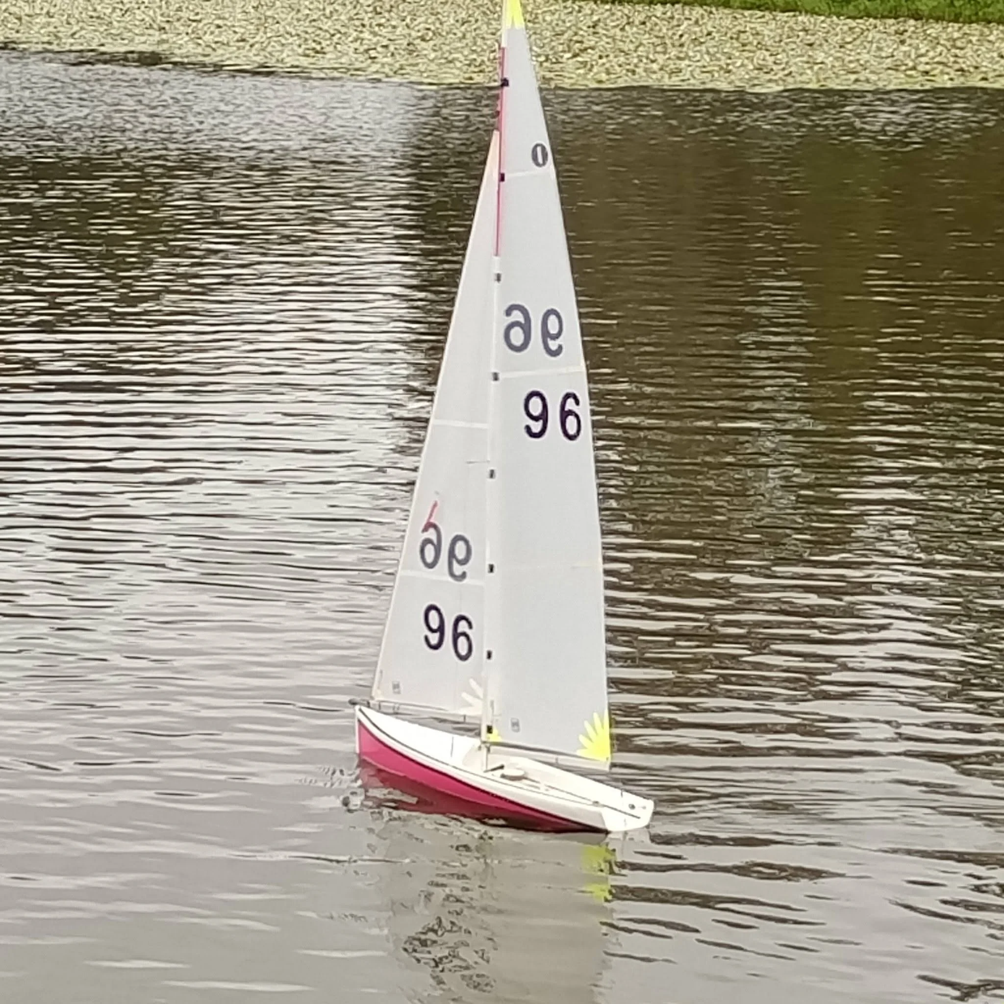 A small sailboat with a pink hull and white sails floats on water, with green grass and trees in the background.