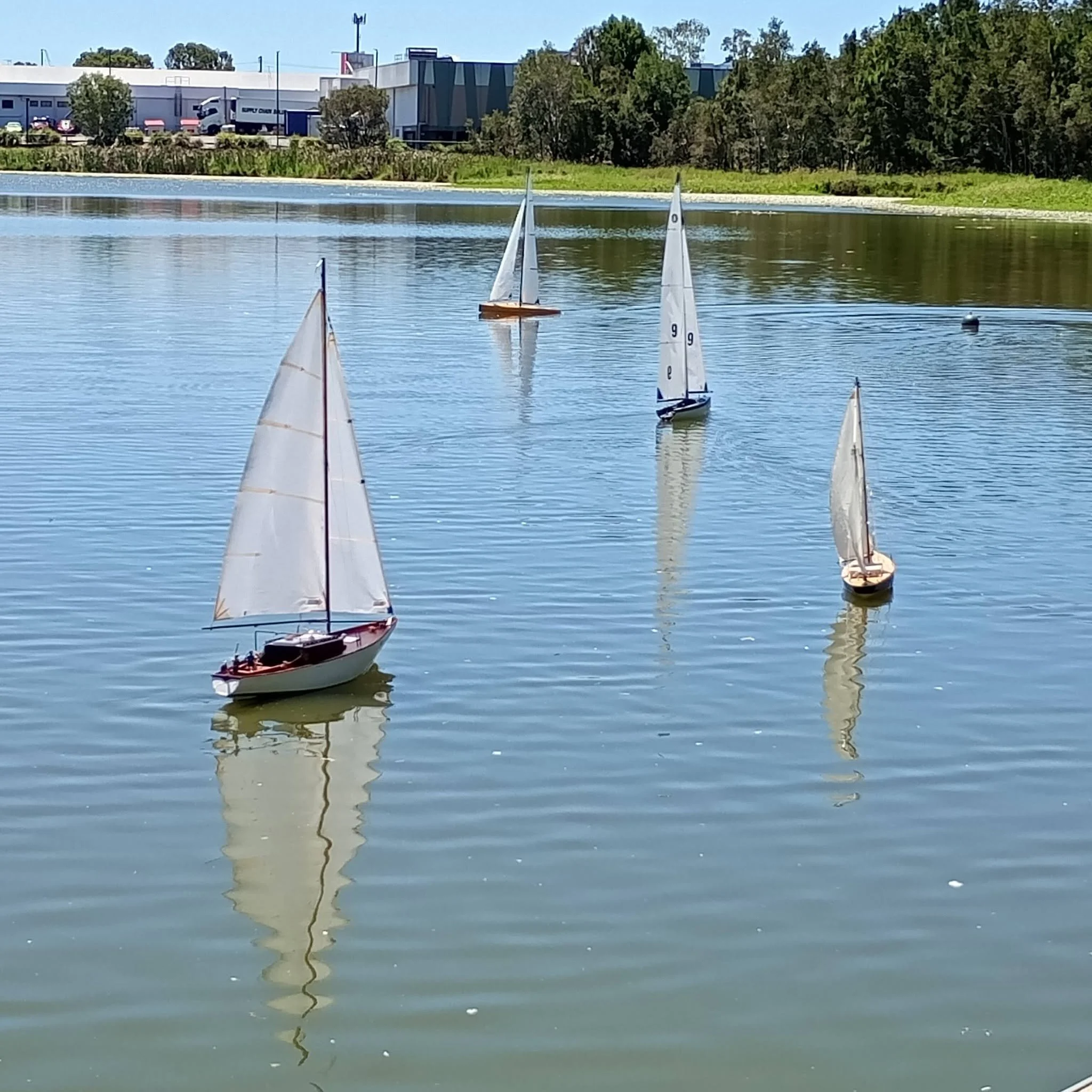 Small sailboats on a calm body of water with a grassy shoreline, trees, and industrial buildings in the background on a clear, sunny day.