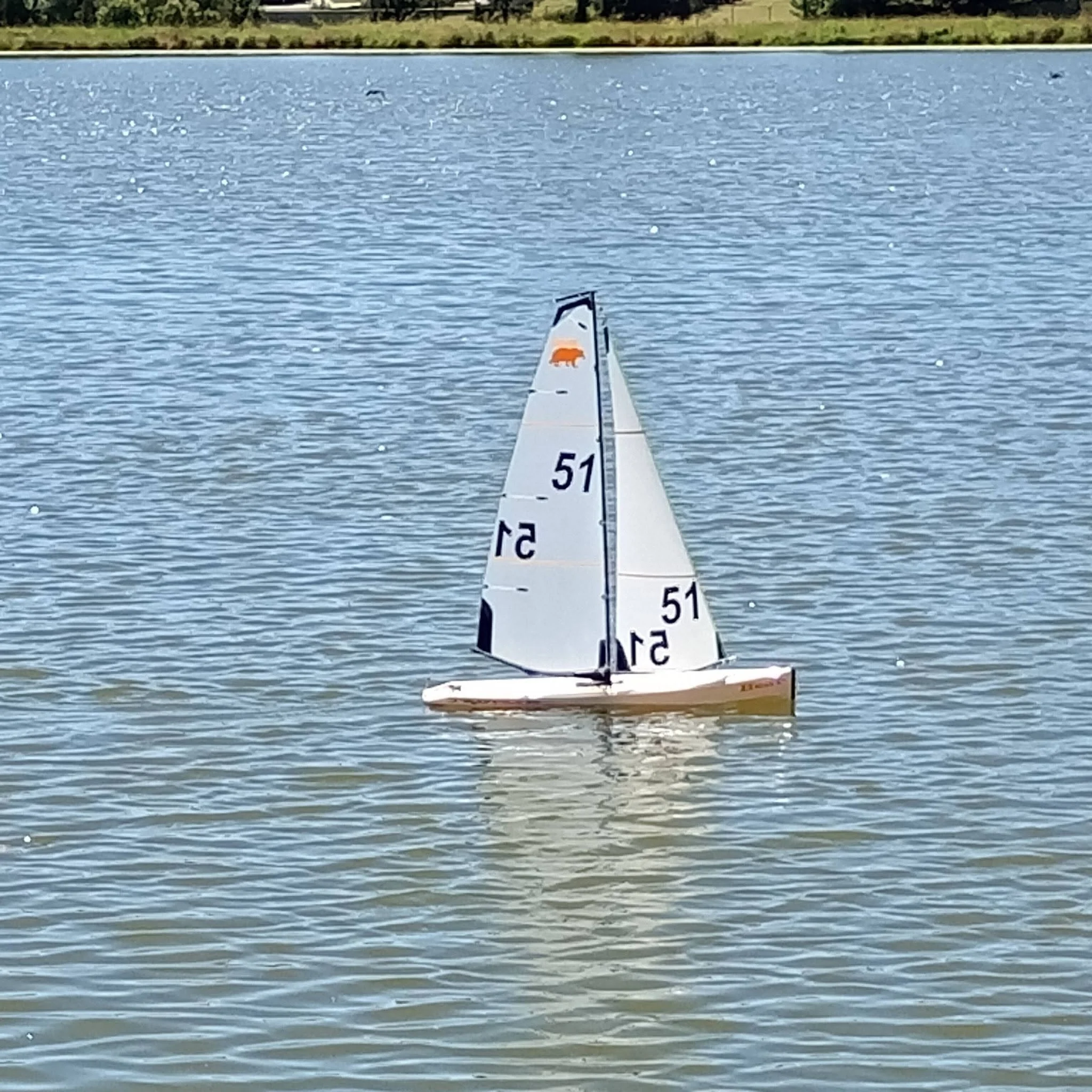 A remote-controlled sailboat with a white sail, featuring a small orange logo, gliding across a calm lake during daytime, with a distant tree-lined shoreline in the background.