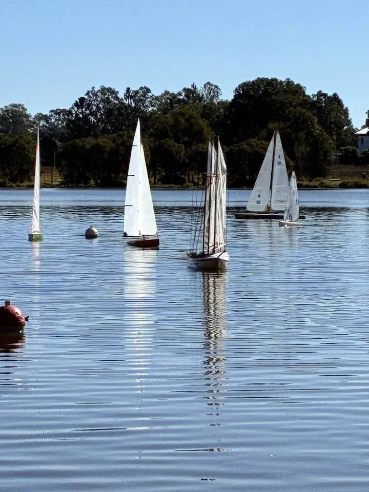 Several model sailboats on a calm lake with trees and a house in the background.