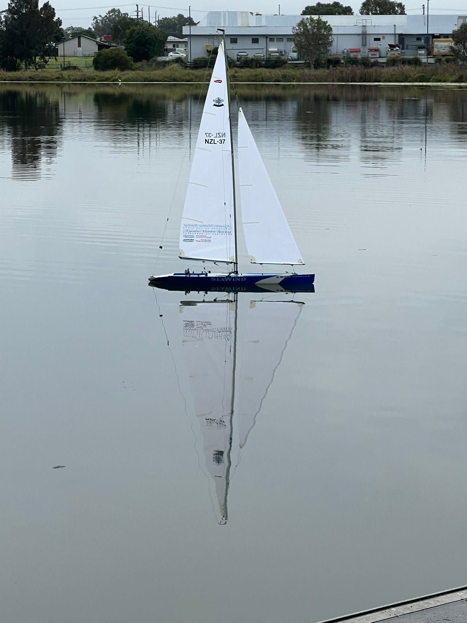A remote-controlled model sailboat on a calm body of water with buildings and trees in the background.