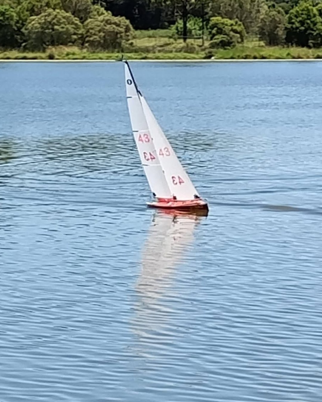 A small sailboat with white sails and red markings floating on a calm lake with green trees in the background.