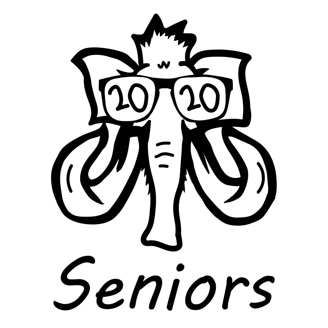 One of the two winning designs for Senior Shirts.
Made in Adobe Illustrator