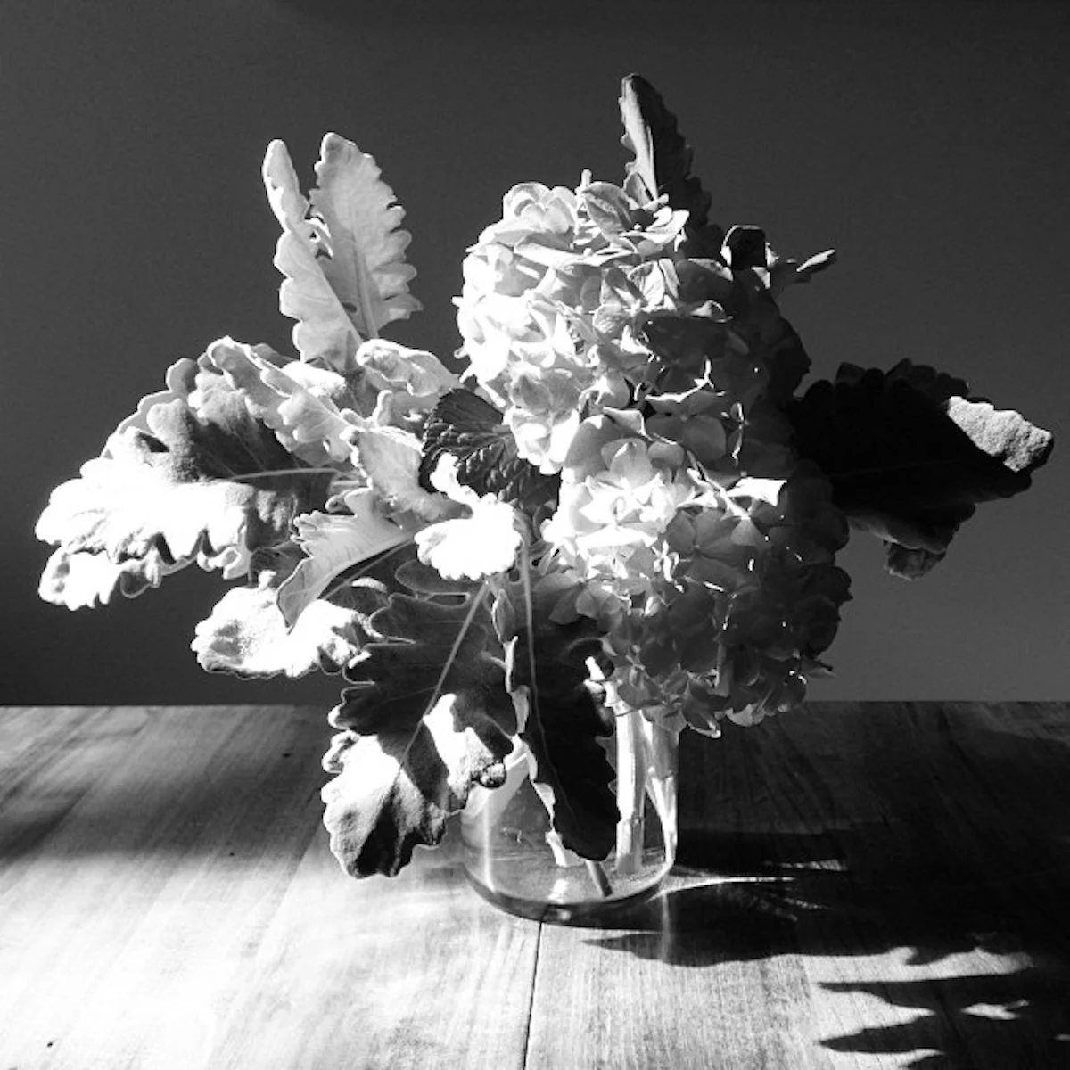 flowers on a saturday afternoon 2013.jpeg