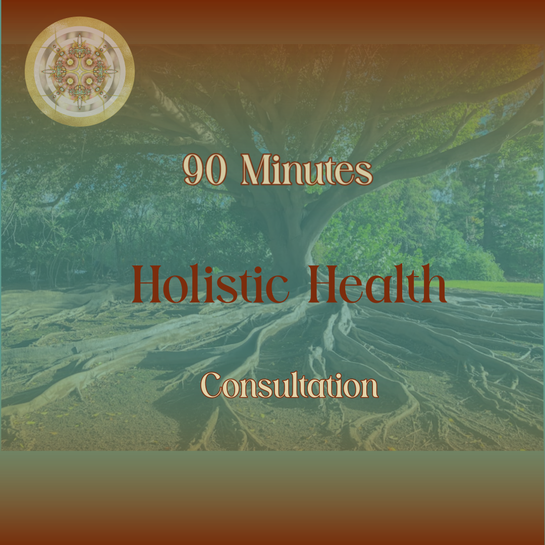 90 Minutes Consultation
