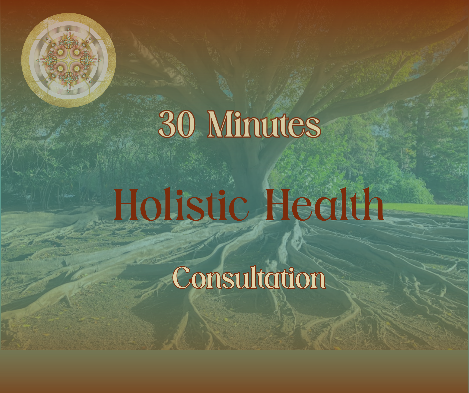 30 Minute Consultation