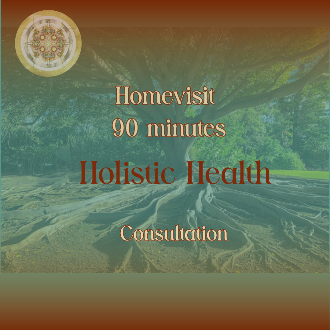 90 Minutes Housevisit