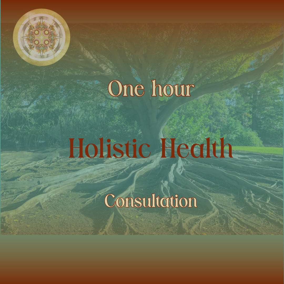 One Hour Consultation