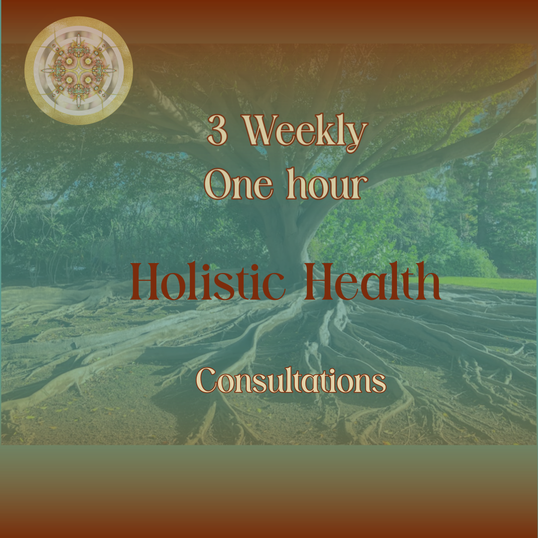 3 One Hour Consultations