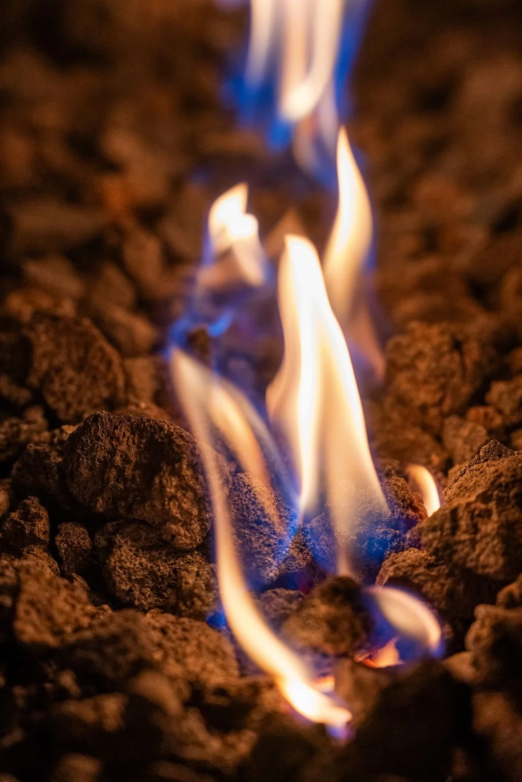 1 (46 of 46).jpg