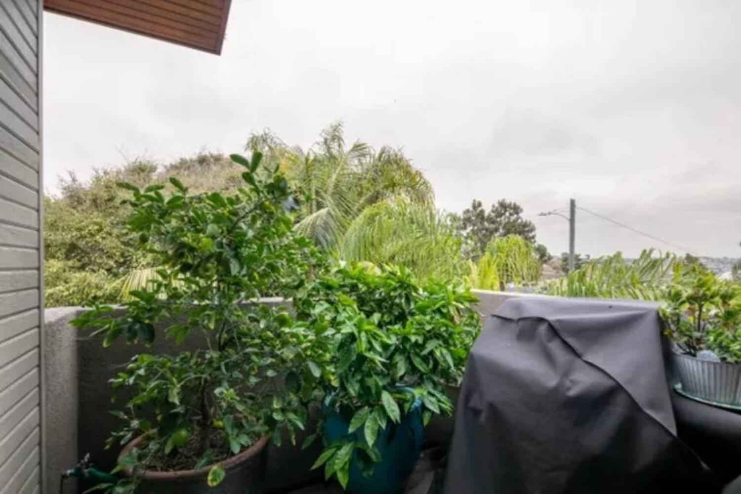 29.png