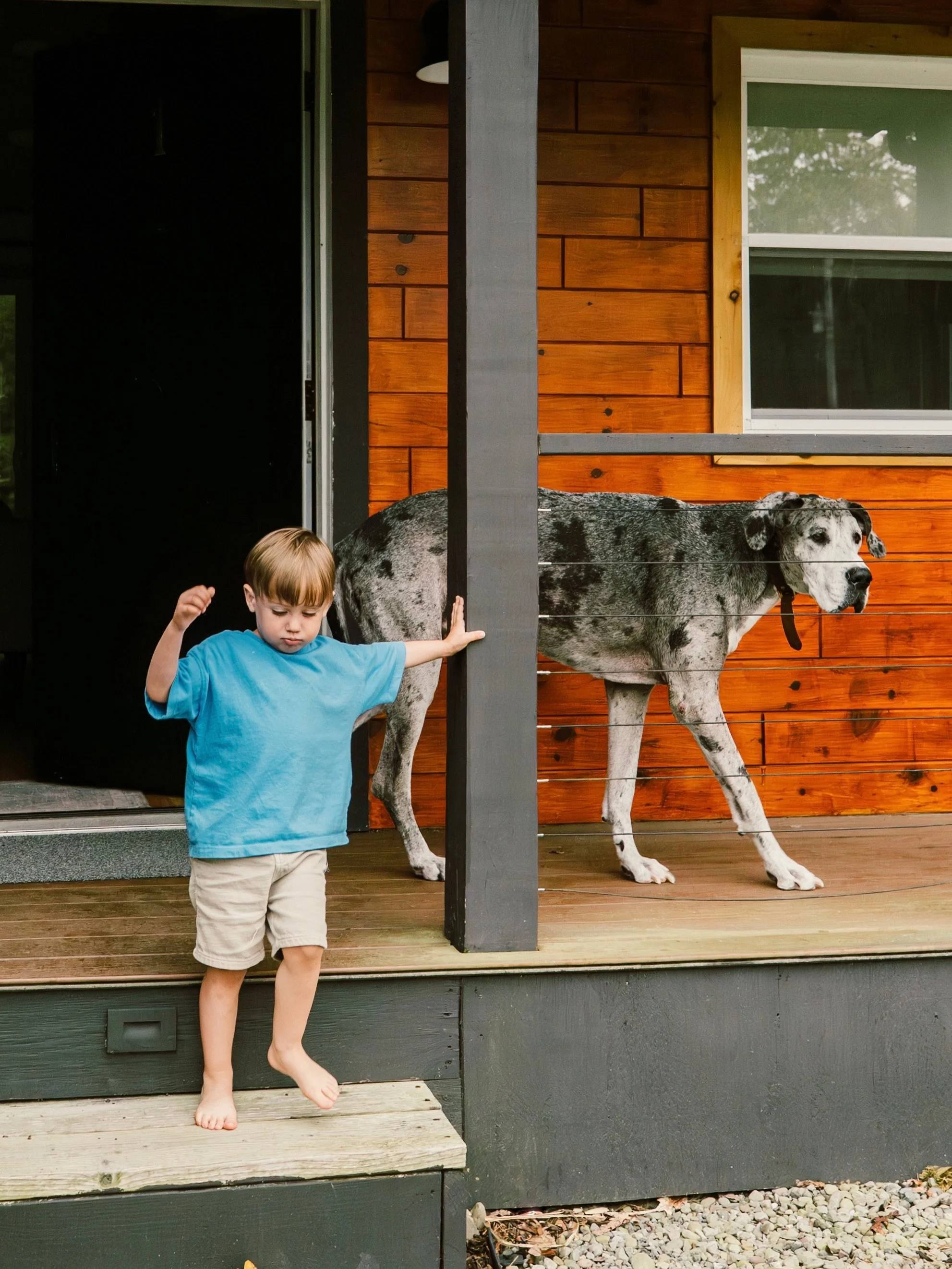 The Rex is located on the edge of Promised Land State Park near the Poconos. It&rsquo;s the perfect boutique hotel for our little family. Full kitchen and living spaces plus hot tub, back yard amenities, fire pit, and communal spaces. The trails were