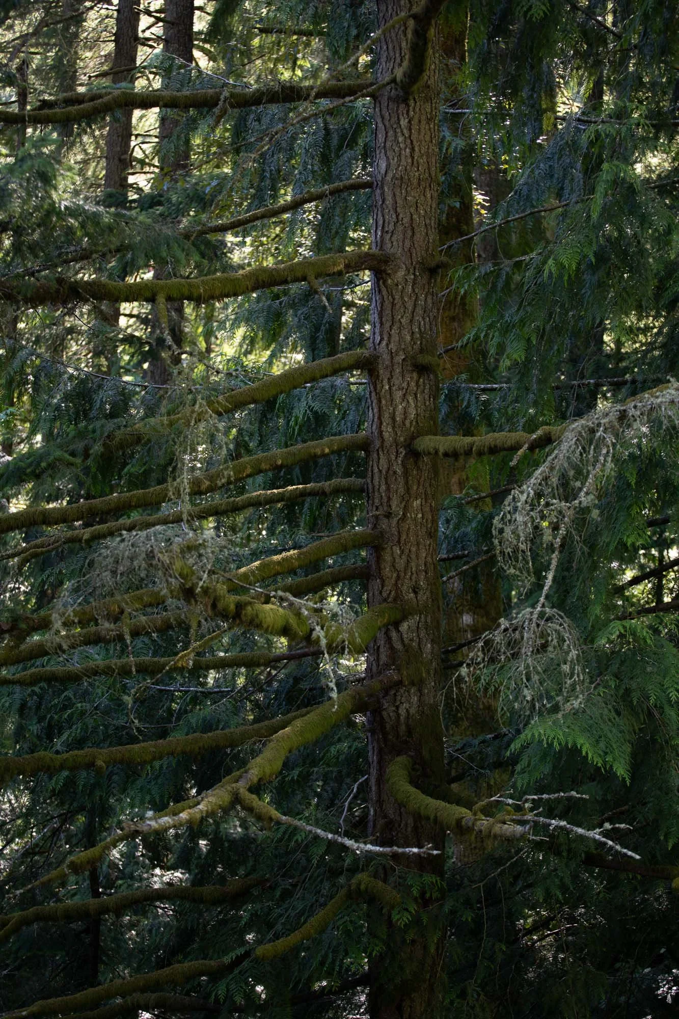 260613-014-2507.jpg