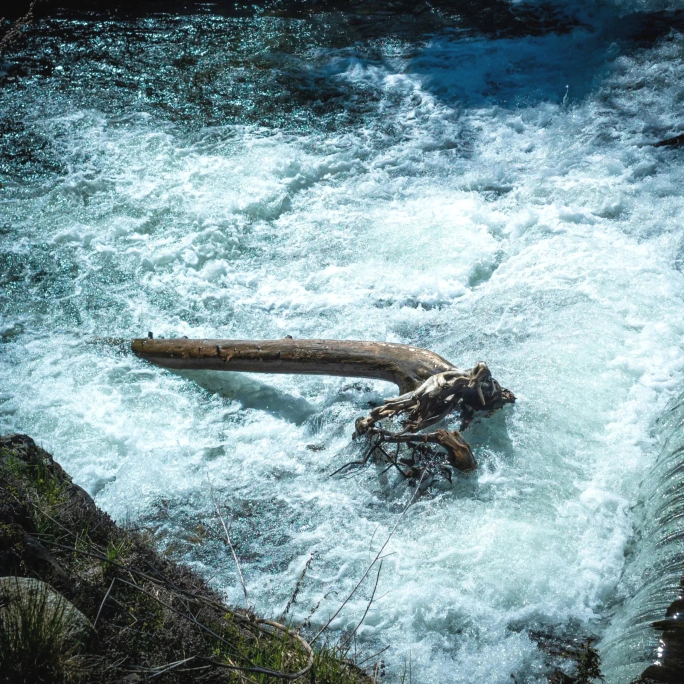 Fast-moving river with white water rapids, surrounded by rocks and vegetation.