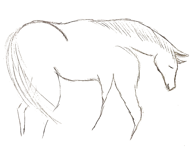 Letters From a Horse