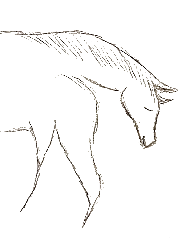 Letters From A Horse Monthly Subscription Plan