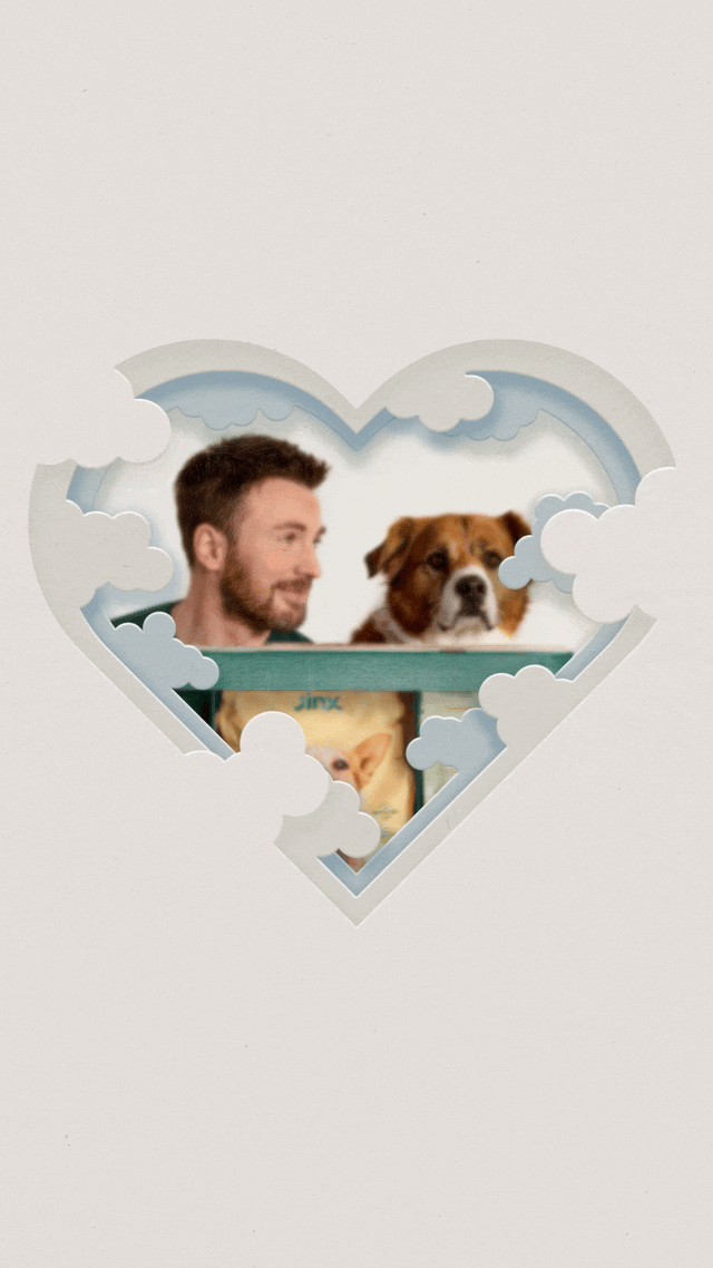 DogDreamBox_MothersDay_V1_1080x1920.gif
