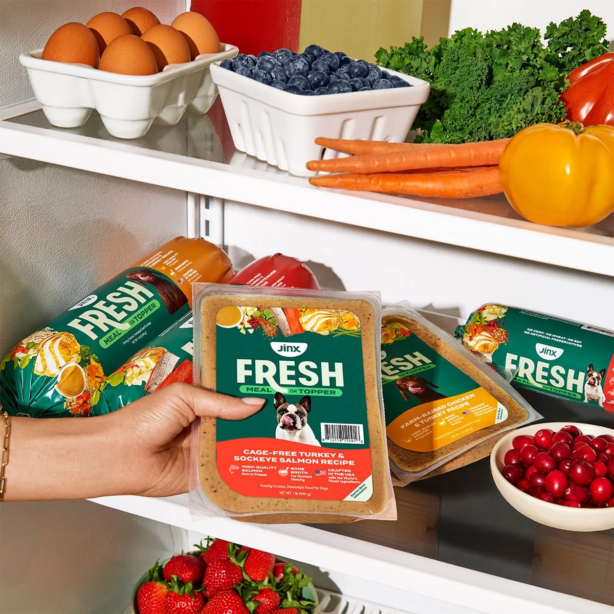 _0001_0429_JinxFresh_06_FridgeFresh_6694.jpg