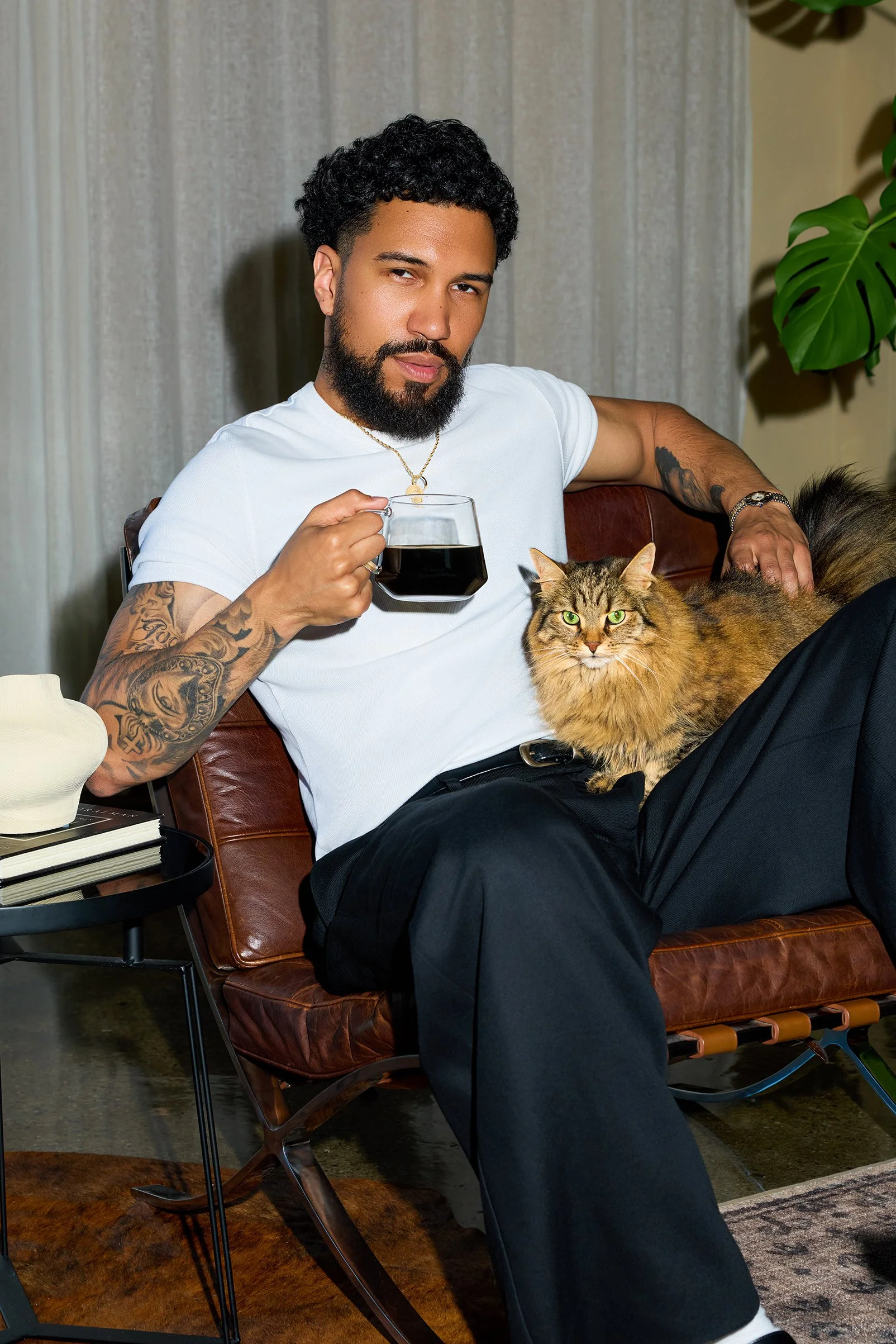 Cat Daddies10086.jpg