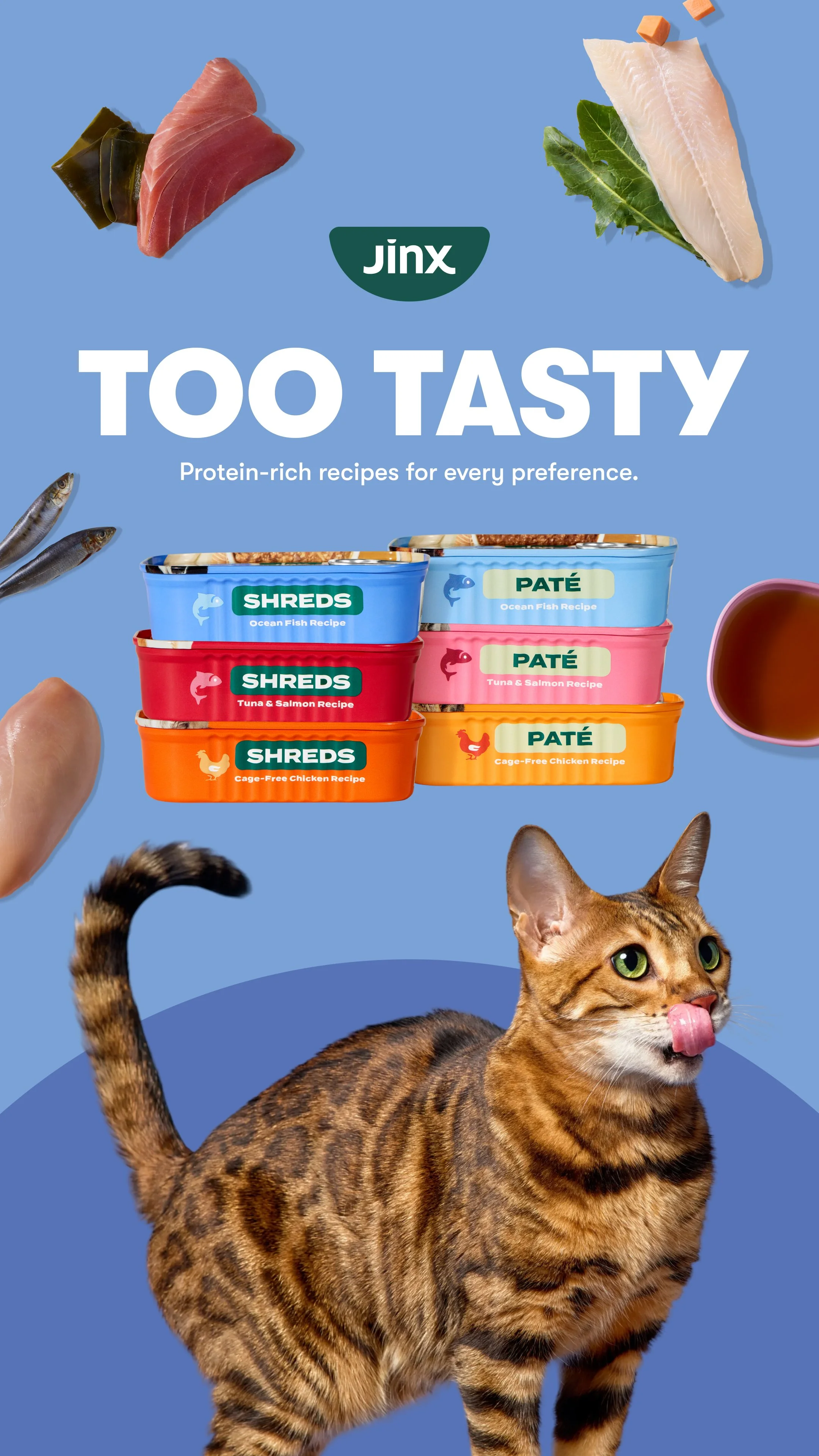 CatLaunch_1080x1920px_9.jpg