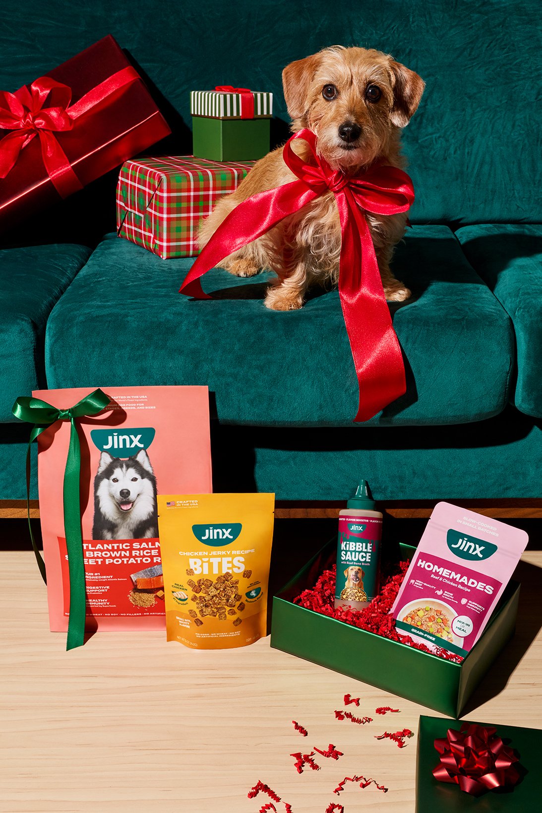 Jinx-Holiday-251023.jpg