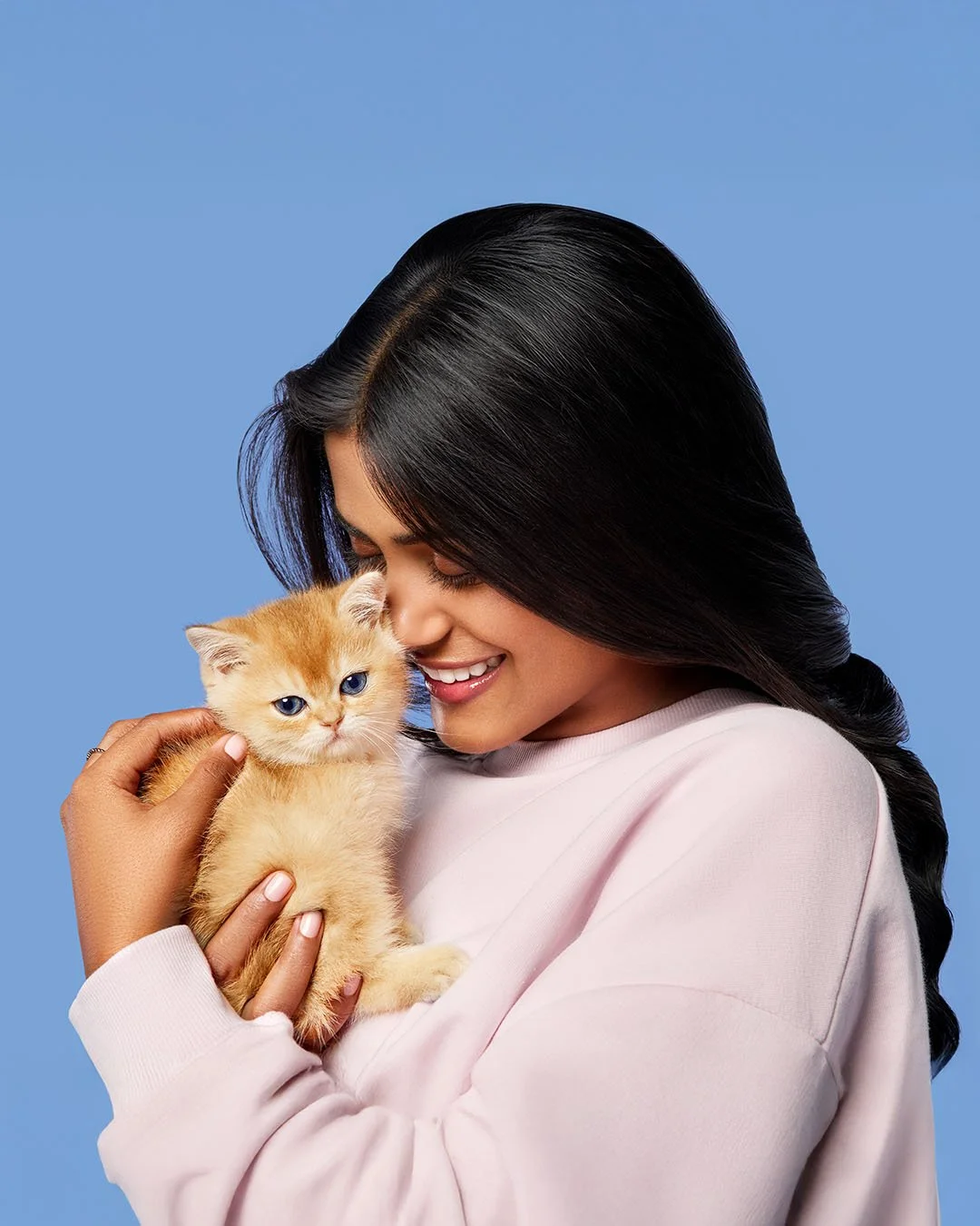 CAT_Studio-Kitten.jpg