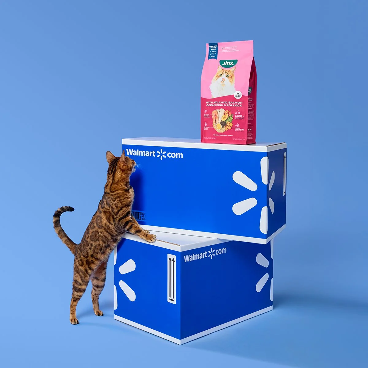 _0009_1107_JINX_CAT_SHOT09_HEROPACKAGING_WalmartBoxShot_3281_V1-003.jpg
