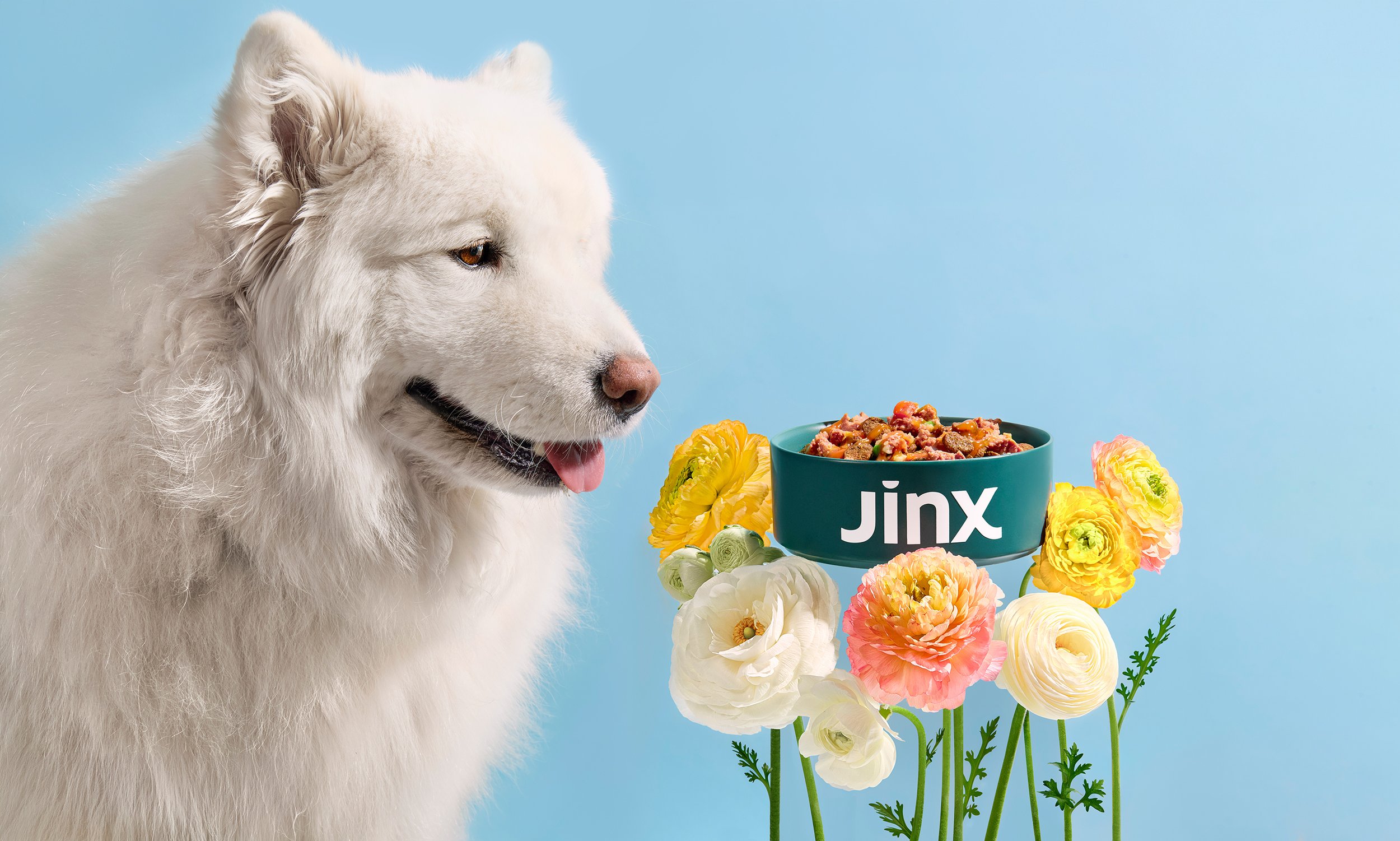 Jinx-Social4816.jpg