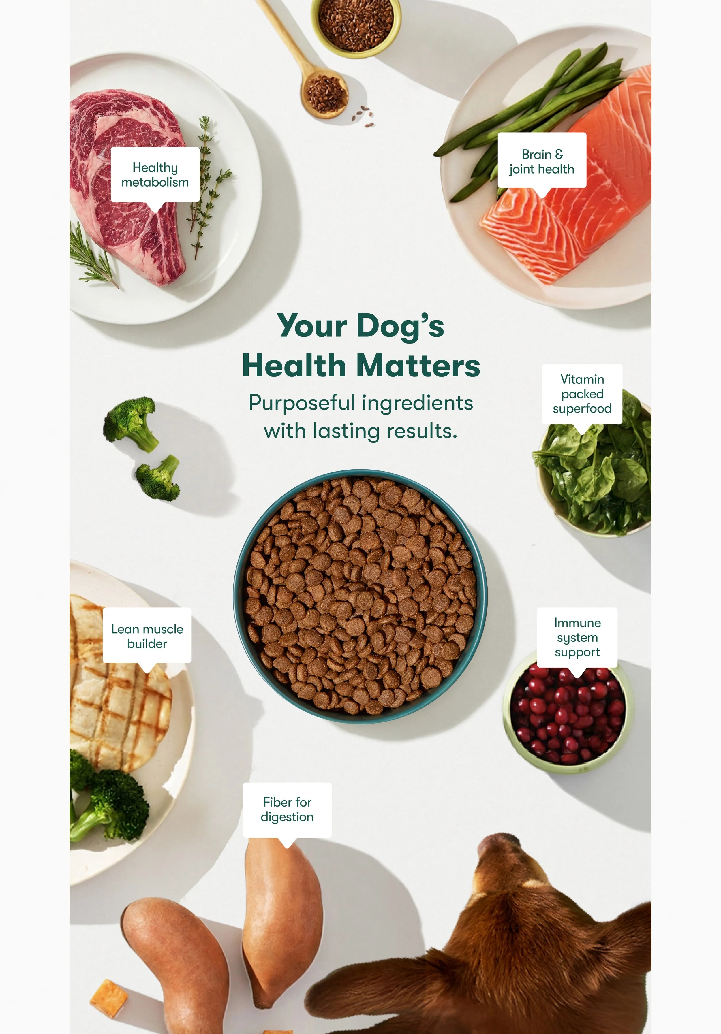 Meta_NY_BtBL_1080x1920_V4.jpg