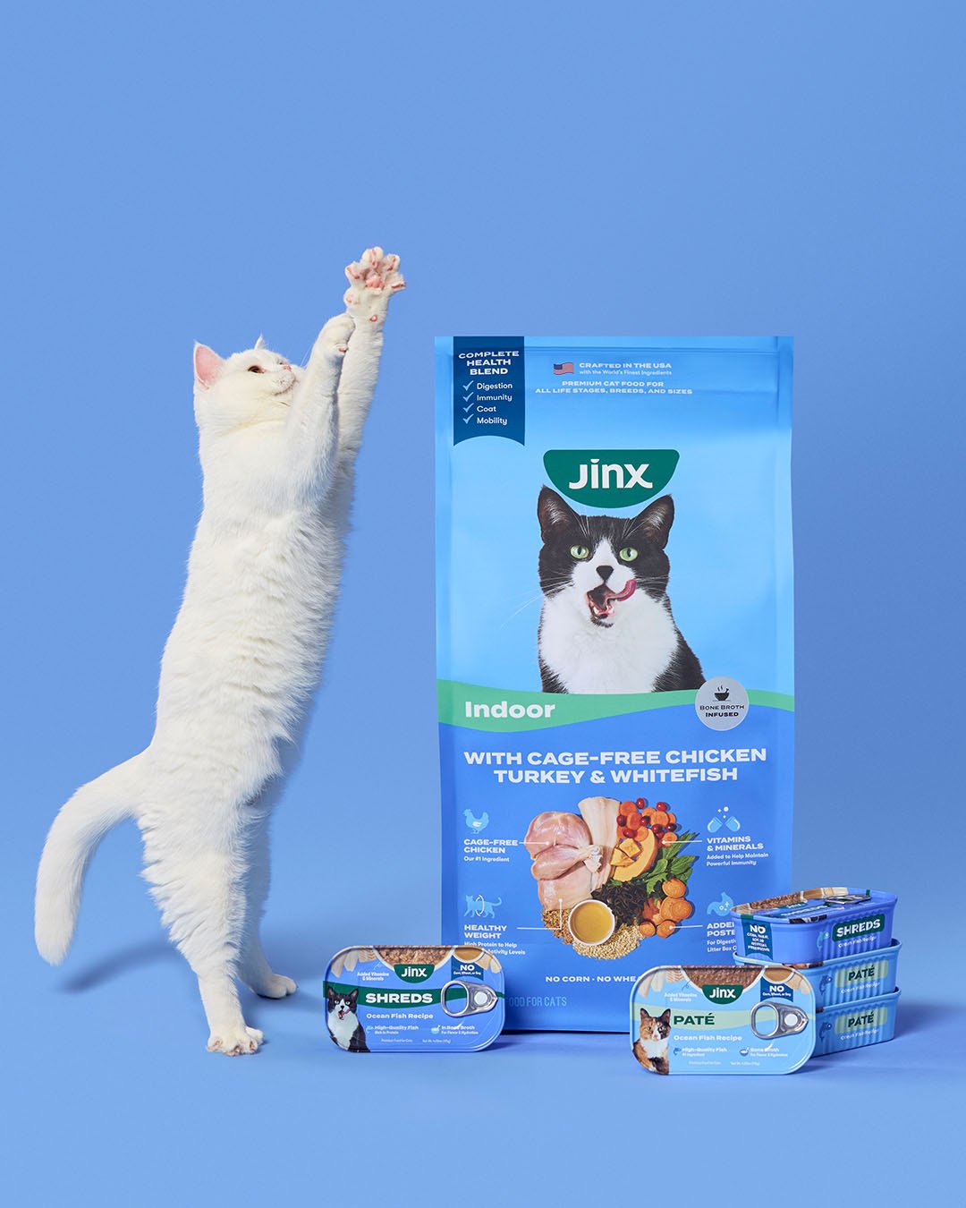 CAT_Studio-Indoor.jpg