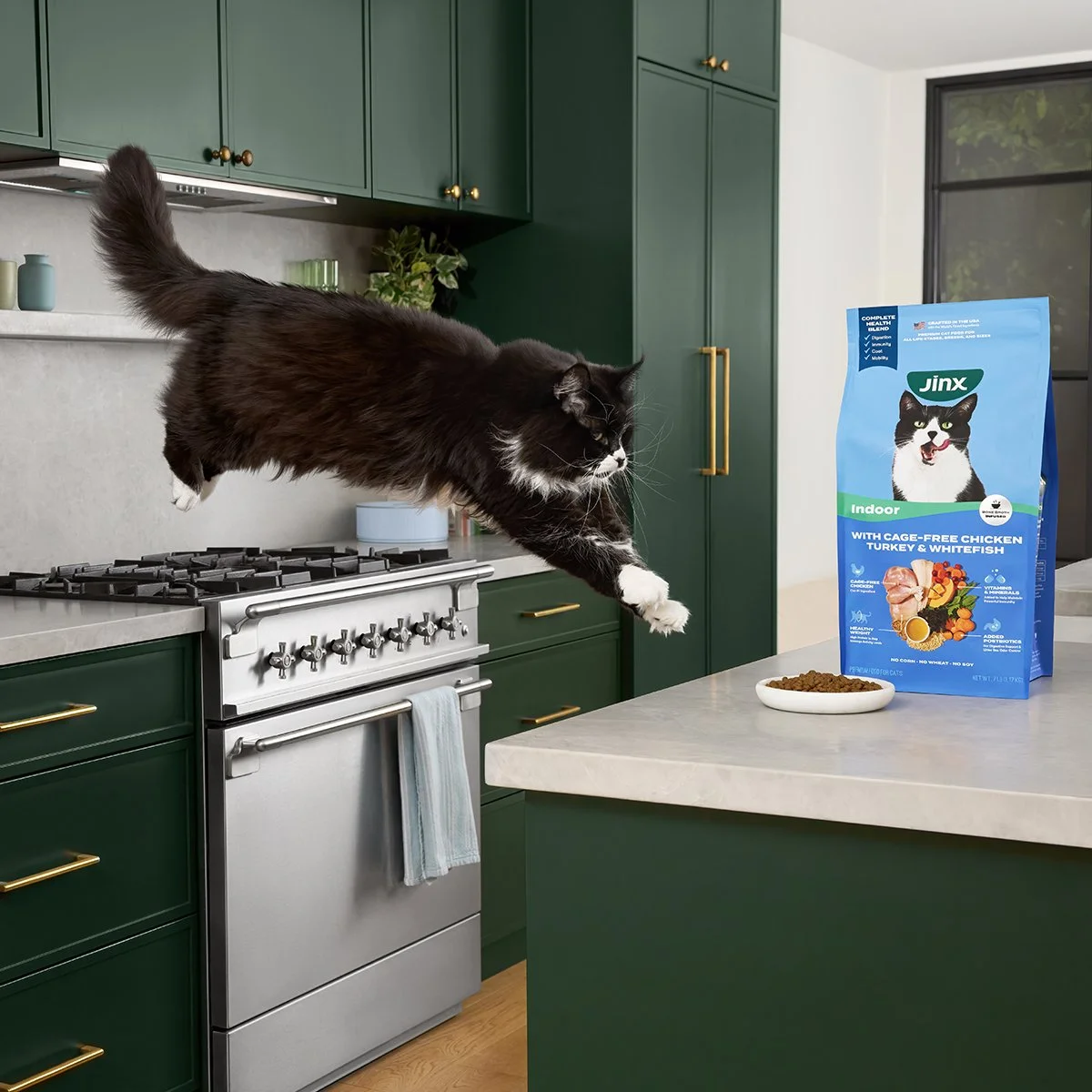 _0006_1106_JINX_CAT_SHOT14_ACTION_LeapingDryFood_2055.jpg