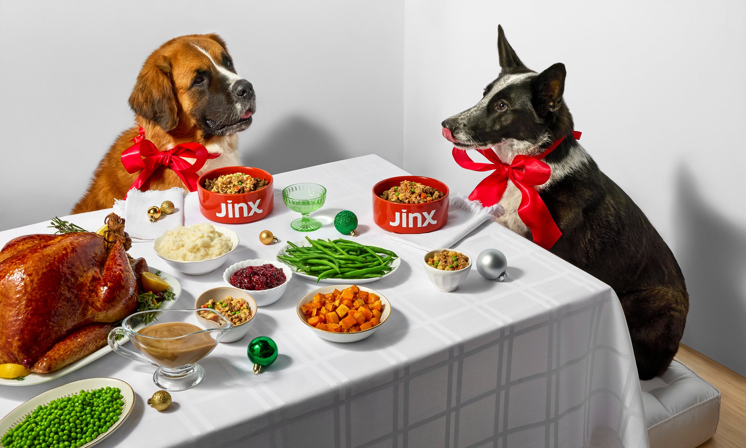 Jinx-Holiday-251280.jpg