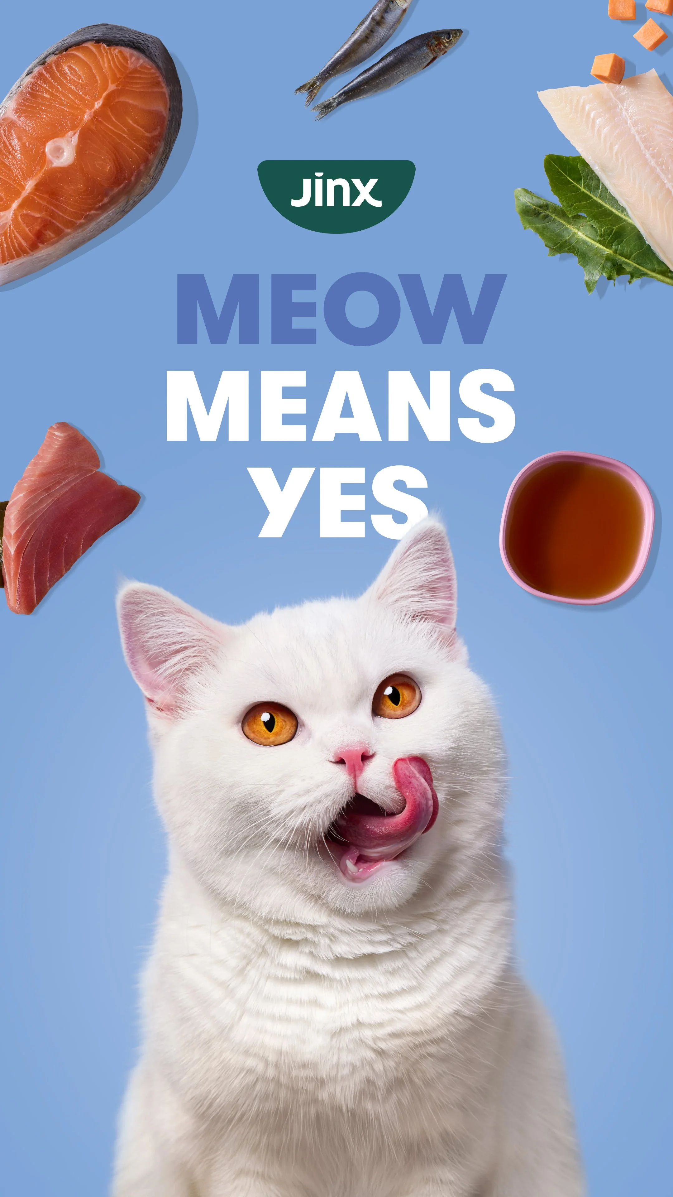 CatLaunch_1080x1920px_3.jpg