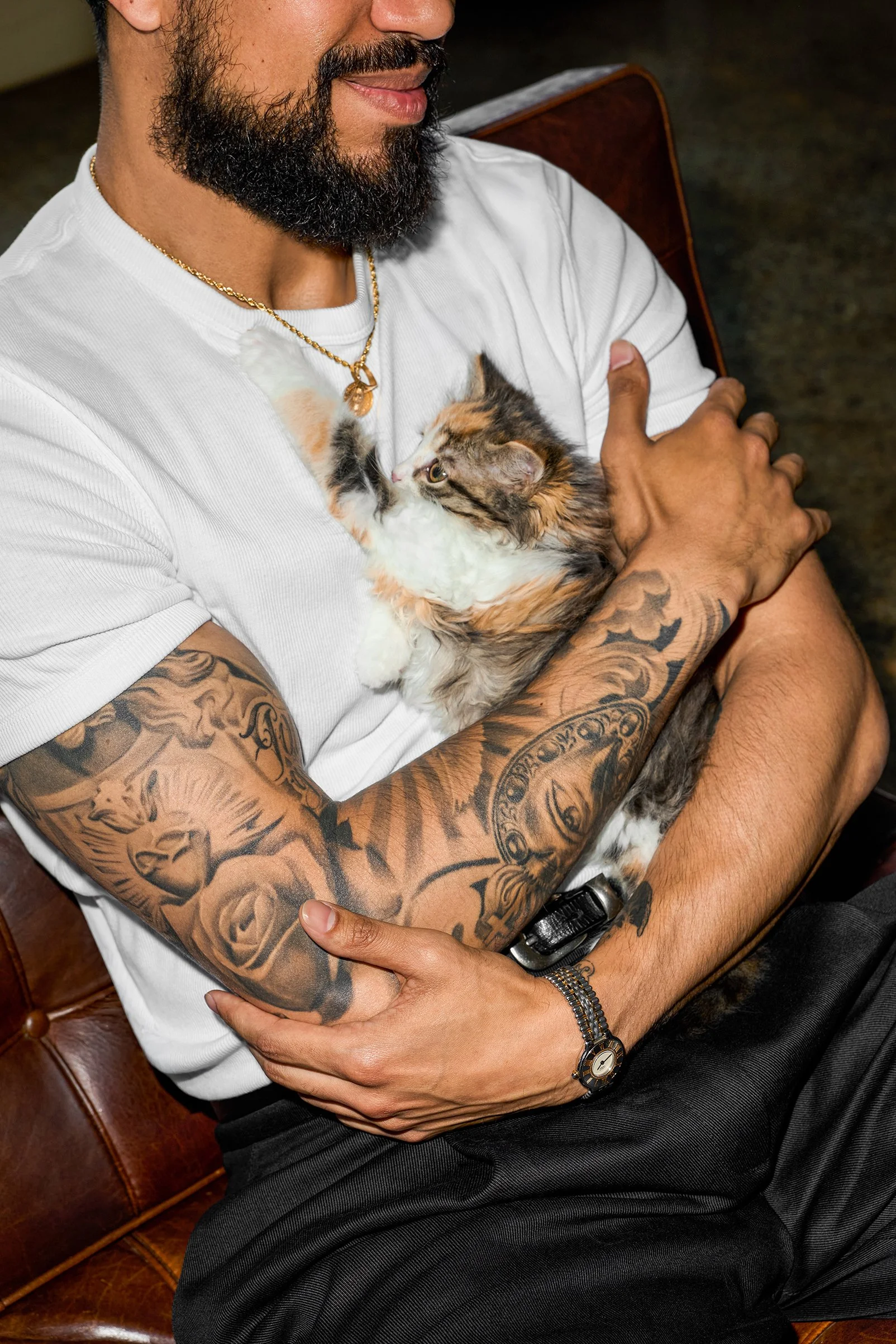 Cat Daddies10245.jpg