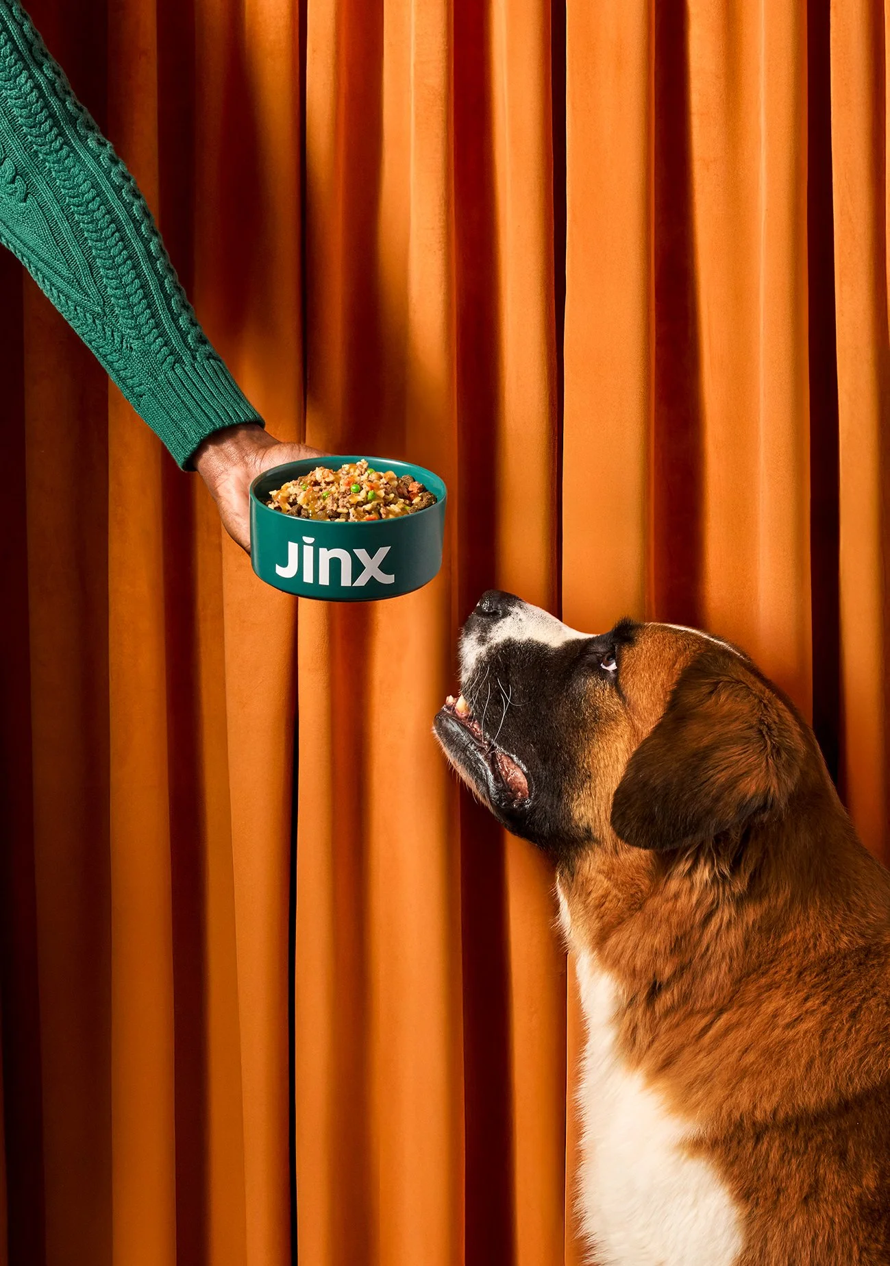 Jinx-Holiday-250728.jpg