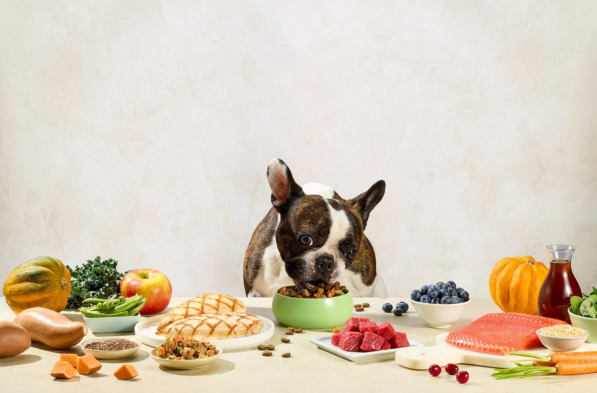 BTBB-JINX2183-004_no-shadow_eating.jpg