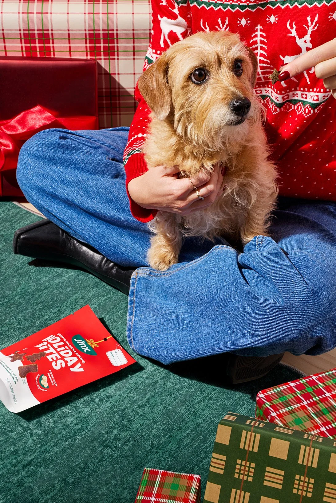 Jinx-Holiday-250972.jpg