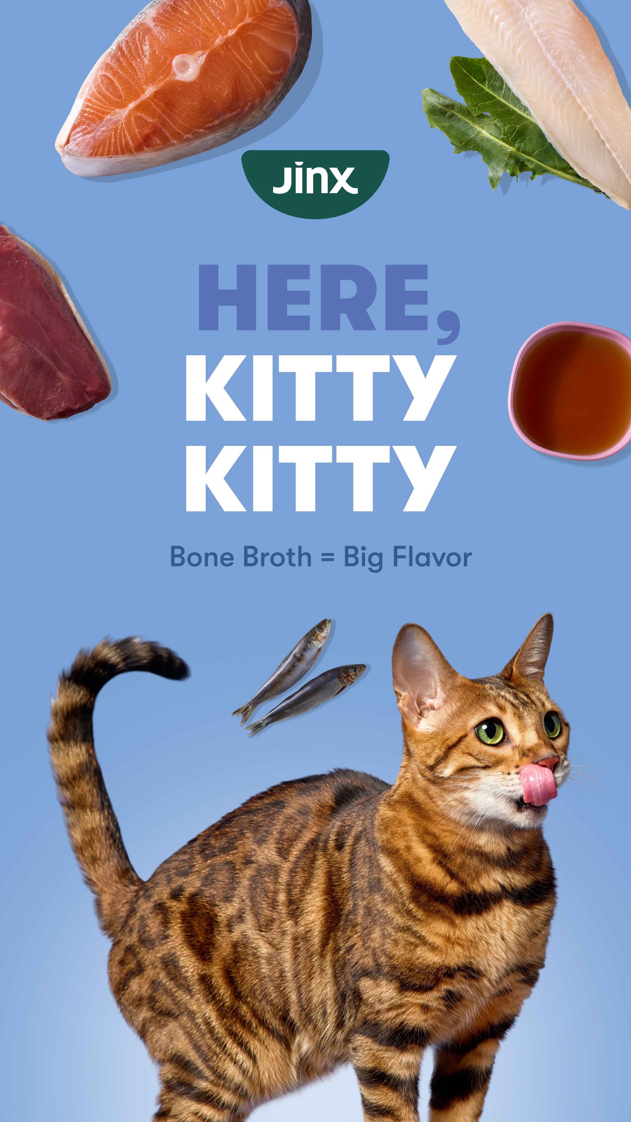 CatLaunch_1080x1920px_1.jpg