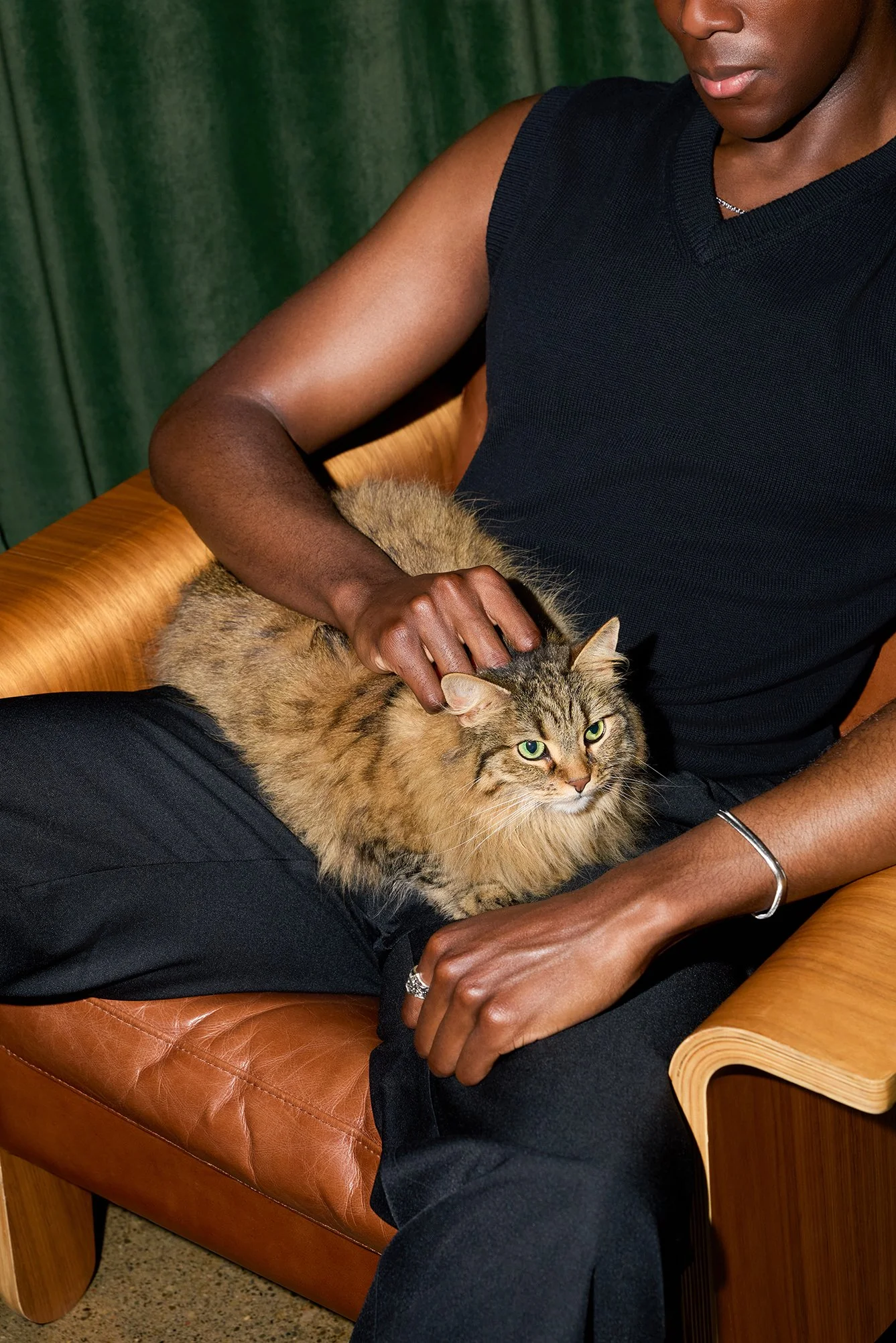 Cat Daddies10553.jpg