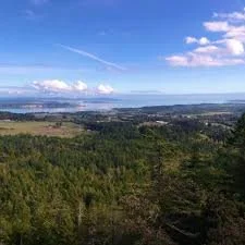 A landscape view of rolling hills covered in green trees with a distant city skyline under a blue sky with clouds.