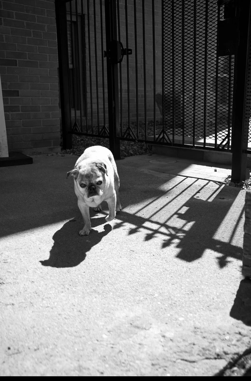 DSCF3846 Large.jpeg