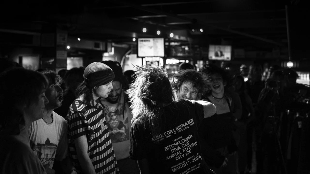 _DSC0782 Large.jpeg