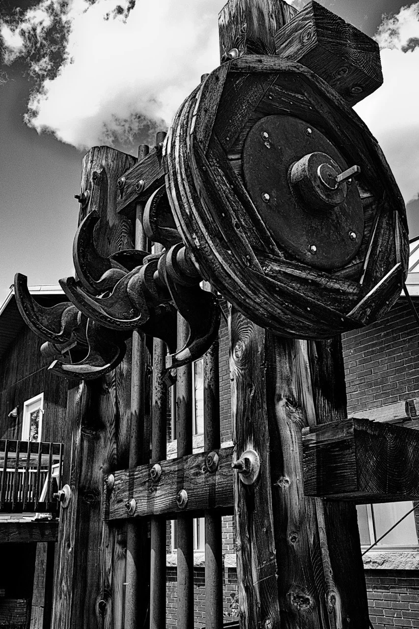 DSCF8915-1 Large.jpeg