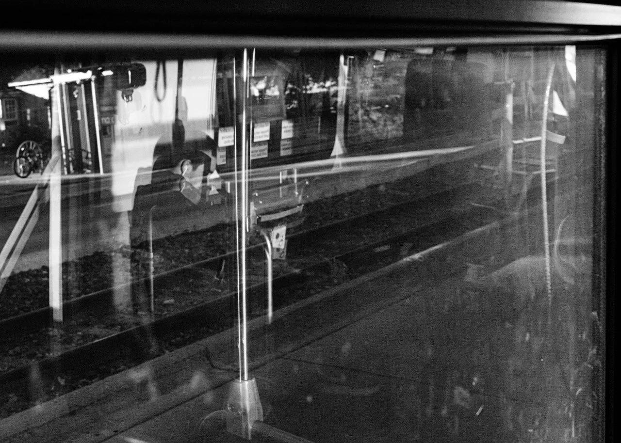 DSCF7617-1 Large.jpeg