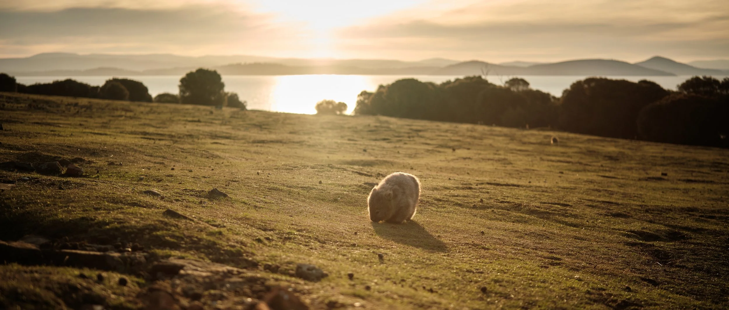 Southern Tasmania chartered car-Maria Island (basic price)